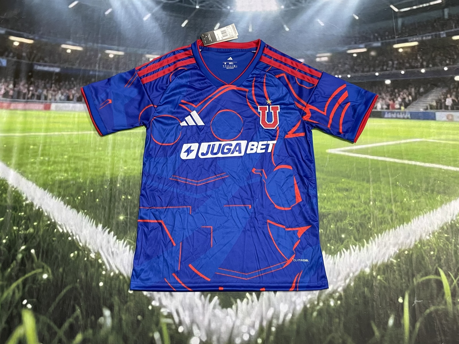 Universidad de Chile